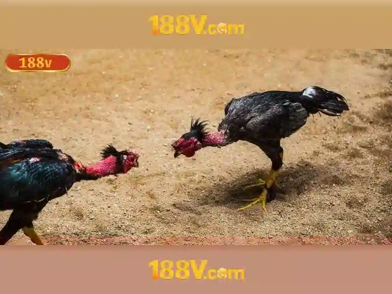 Mẹo chơi bắn cá 3 cây dễ ăn tiền nhà cái