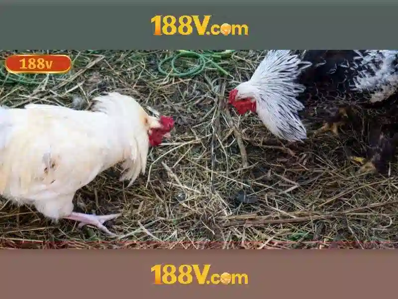 Khái niệm 188V Khái niệm 188V