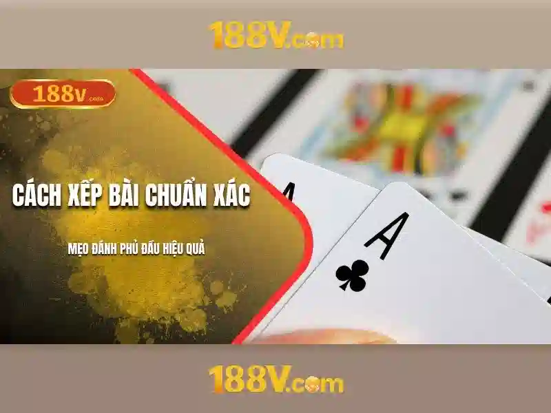 Sự giao thoa giữa dữ liệu và sự tò mò Sự giao thoa giữa dữ liệu và sự tò mò