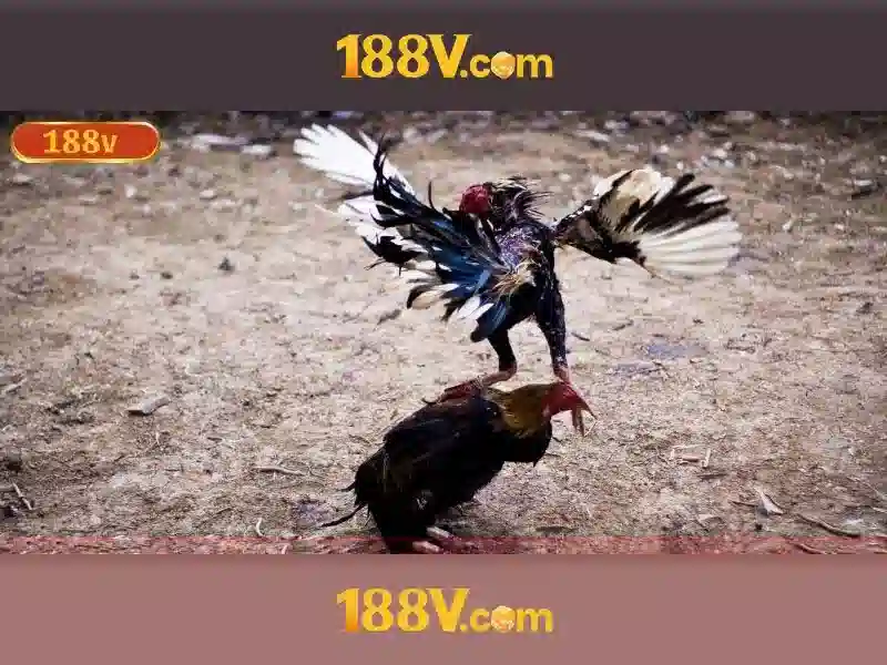 Khám phá 188v: một khái niệm và ý nghĩa