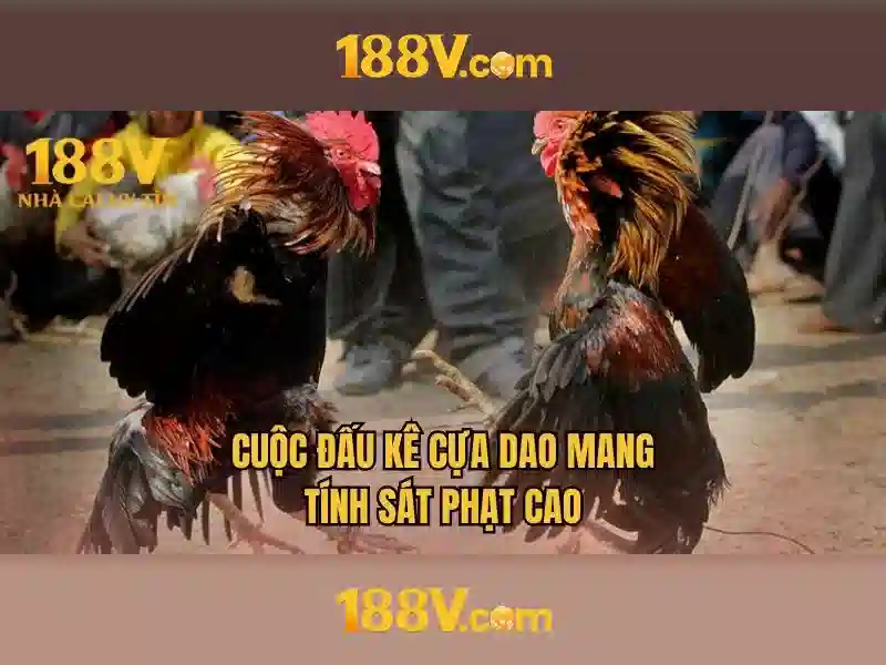 Định nghĩa và bối cảnh của 188V Định nghĩa và bối cảnh của 188V