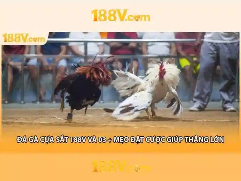 188v: một khái niệm công nghệ và nghệ thuật