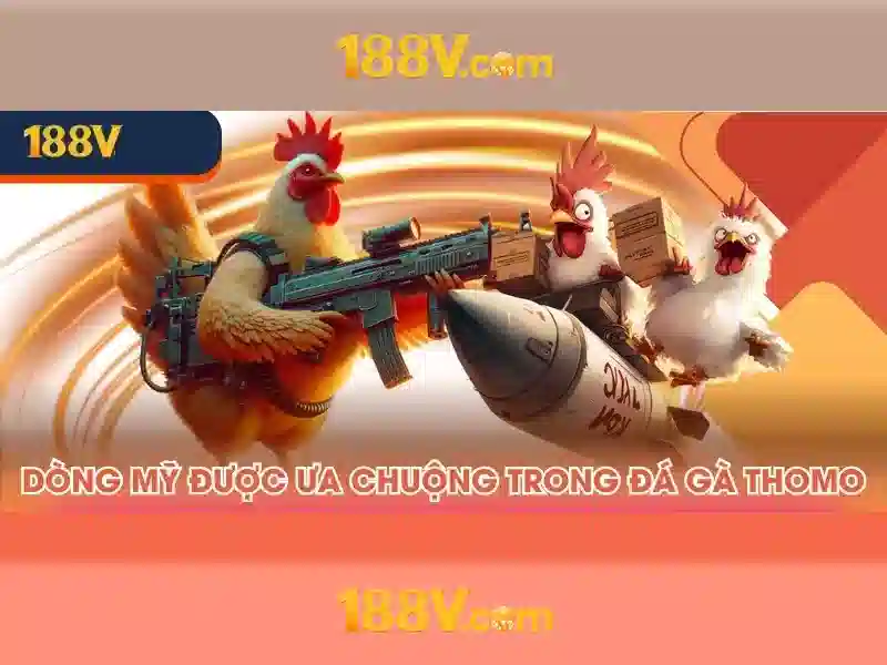 Tương lai và tác động của 188v Tương lai và tác động của 188v