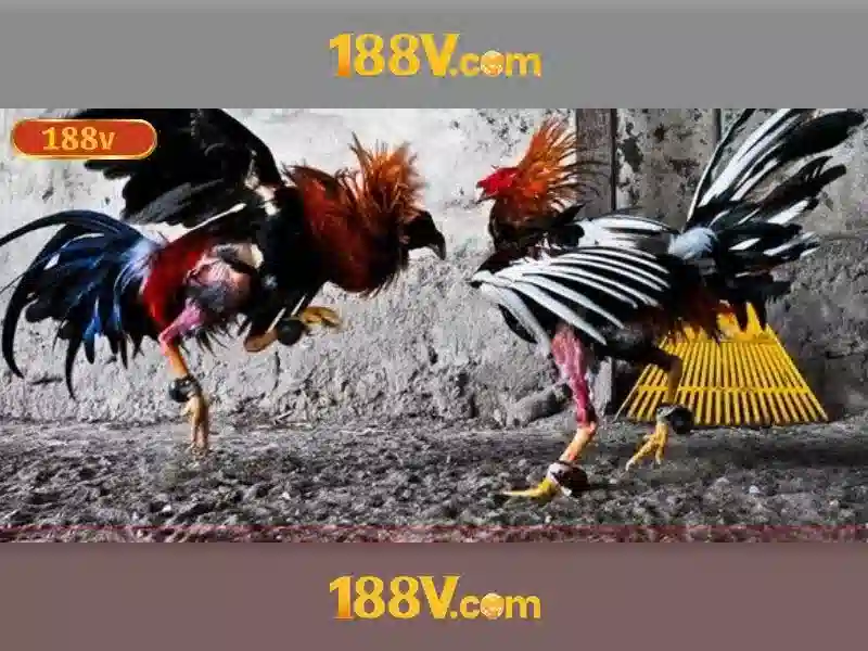 Giới thiệu về 188V Giới thiệu về 188V