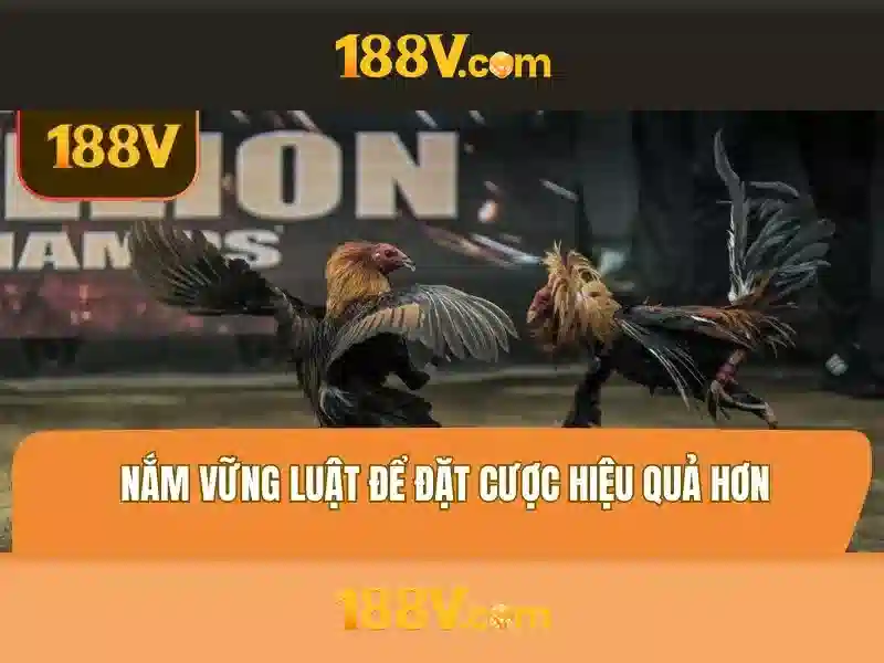 Nguồn gốc và ý nghĩa ban đầu