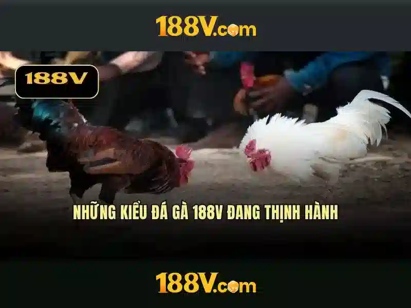 Khám phá 188v Khám phá 188v
