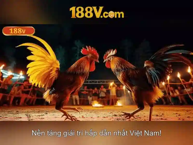 Khái niệm 188v và tác động của nó