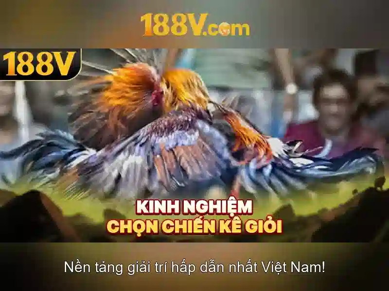 Khởi đầu với 188V Khởi đầu với 188V