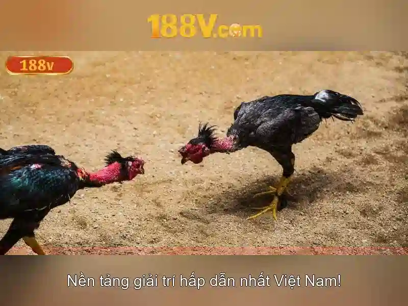 188v: khái niệm và hành trình phát triển
