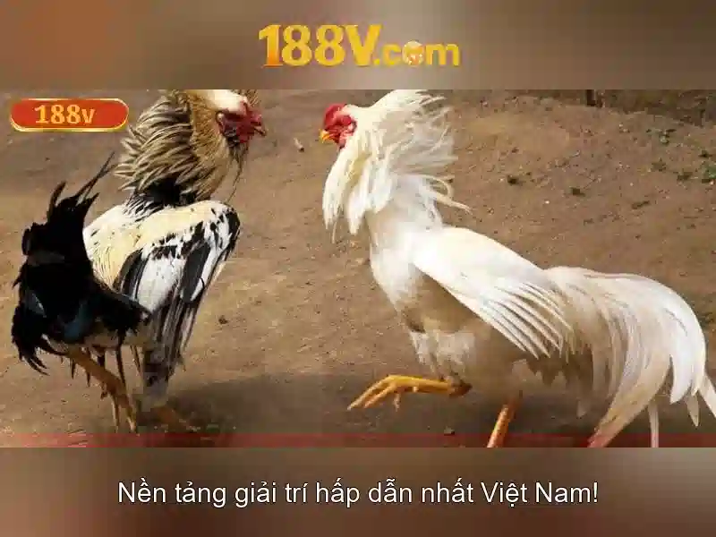 Mẹo chơi bắn cá 3 cây dễ ăn tiền nhà cái
