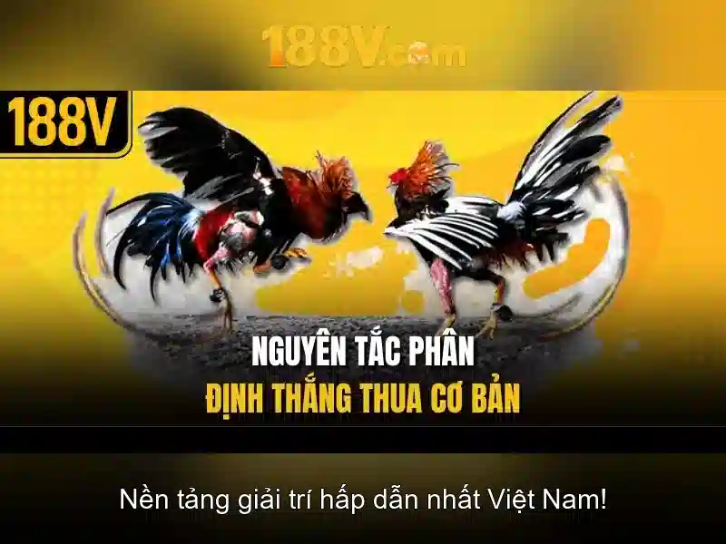 san pham va dich vu chinh cua 188v nha cai