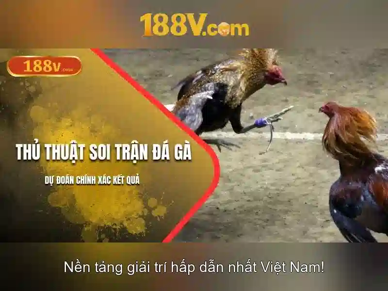 Nguồn gốc và ý tưởng Nguồn gốc và ý tưởng