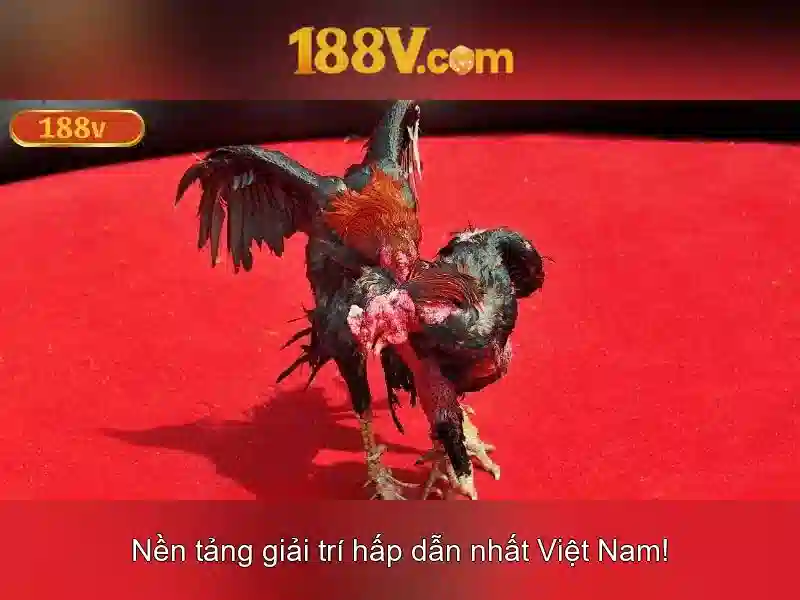 188v và sự hình thành của một khái niệm số 188v và sự hình thành của một khái niệm số