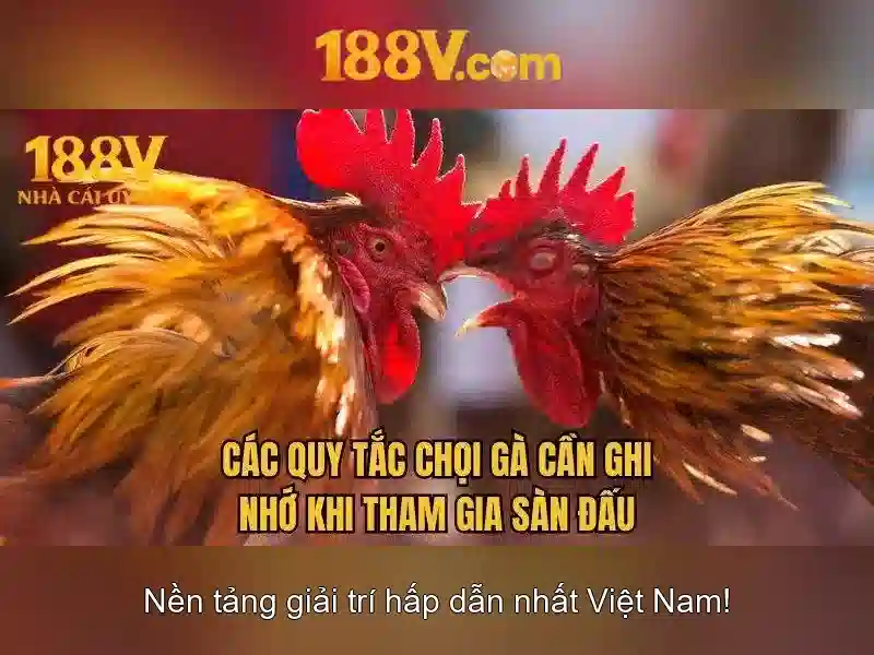 Khủng hoảng và thách thức khi đối mặt với 188v