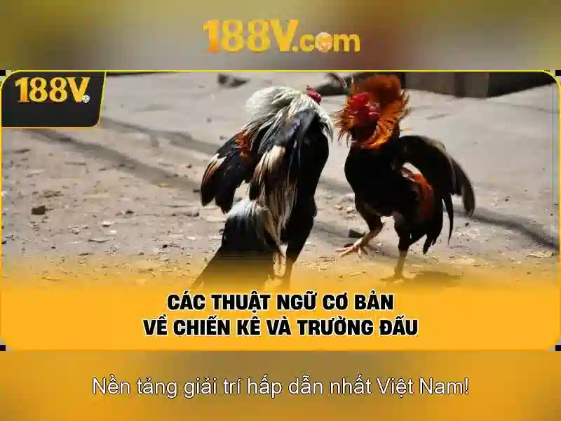 Mẹo chơi bắn cá 3 cây dễ ăn tiền nhà cái