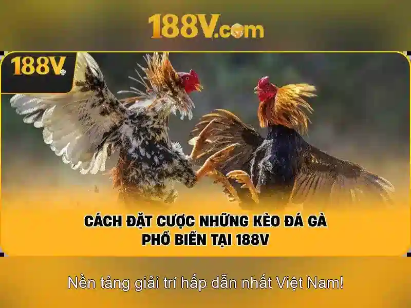 188v là gì? 188v là gì?