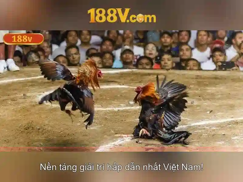 188V: Khám phá điện áp và ứng dụng