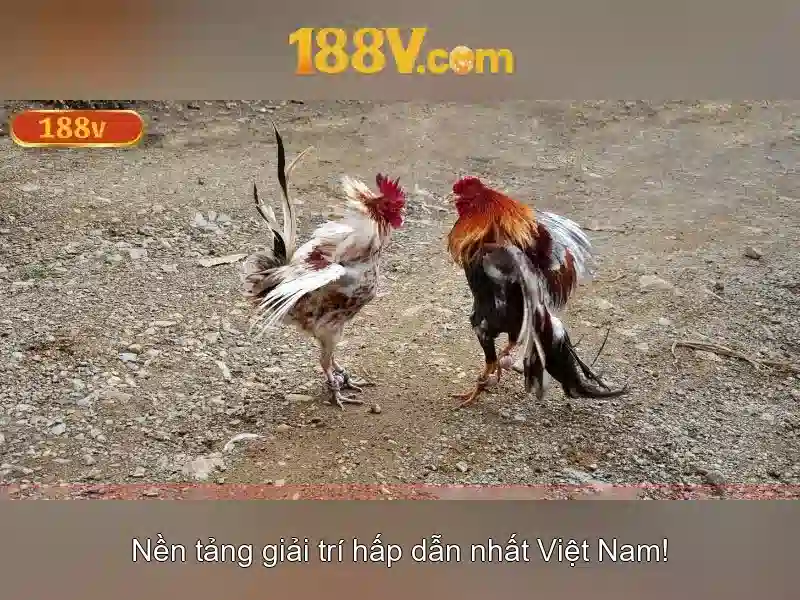 188V: Hiểu về điện áp, ứng dụng và an toàn