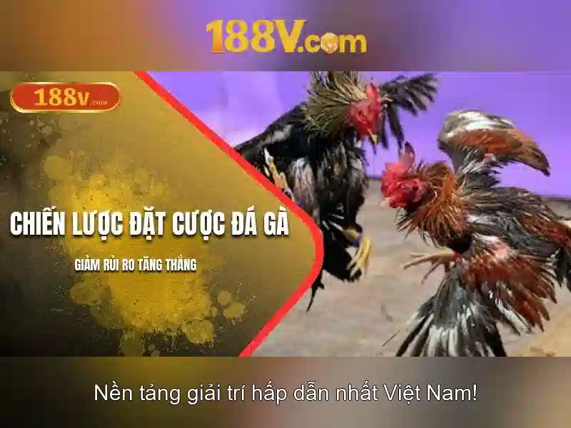 Ý tưởng và nguồn cảm hứng của 188v Ý tưởng và nguồn cảm hứng của 188v