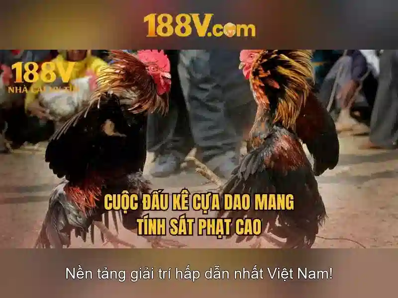 Cấu trúc và ý nghĩa của 188v