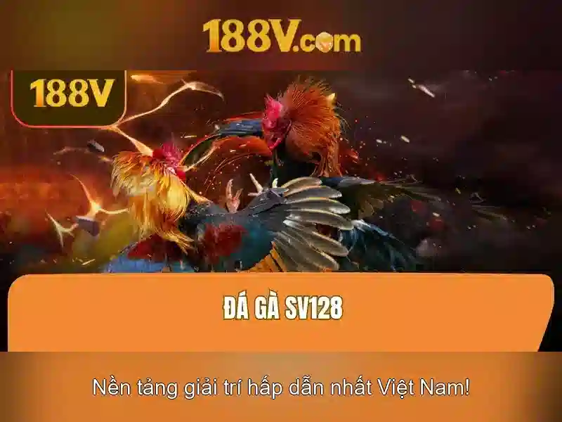 188v còn: Hành trình trải nghiệm và kết nối cộng đồng